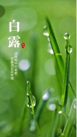 夏天的小雨的照片